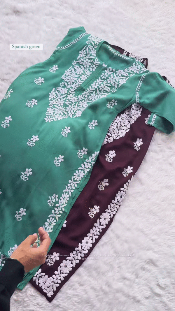 Modal Chikankari Straight-Fit Kurti - Image 4